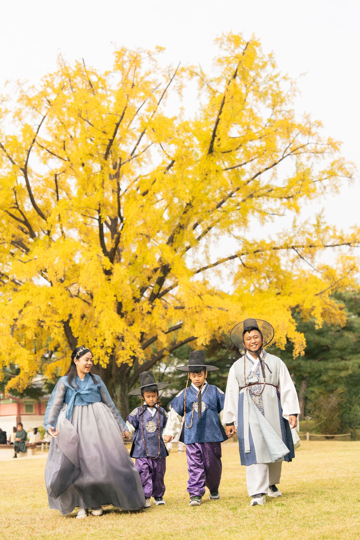 Group wearing traditional Korean hanbok clothing walking under vibrant yellow ginkgo trees in autumn.