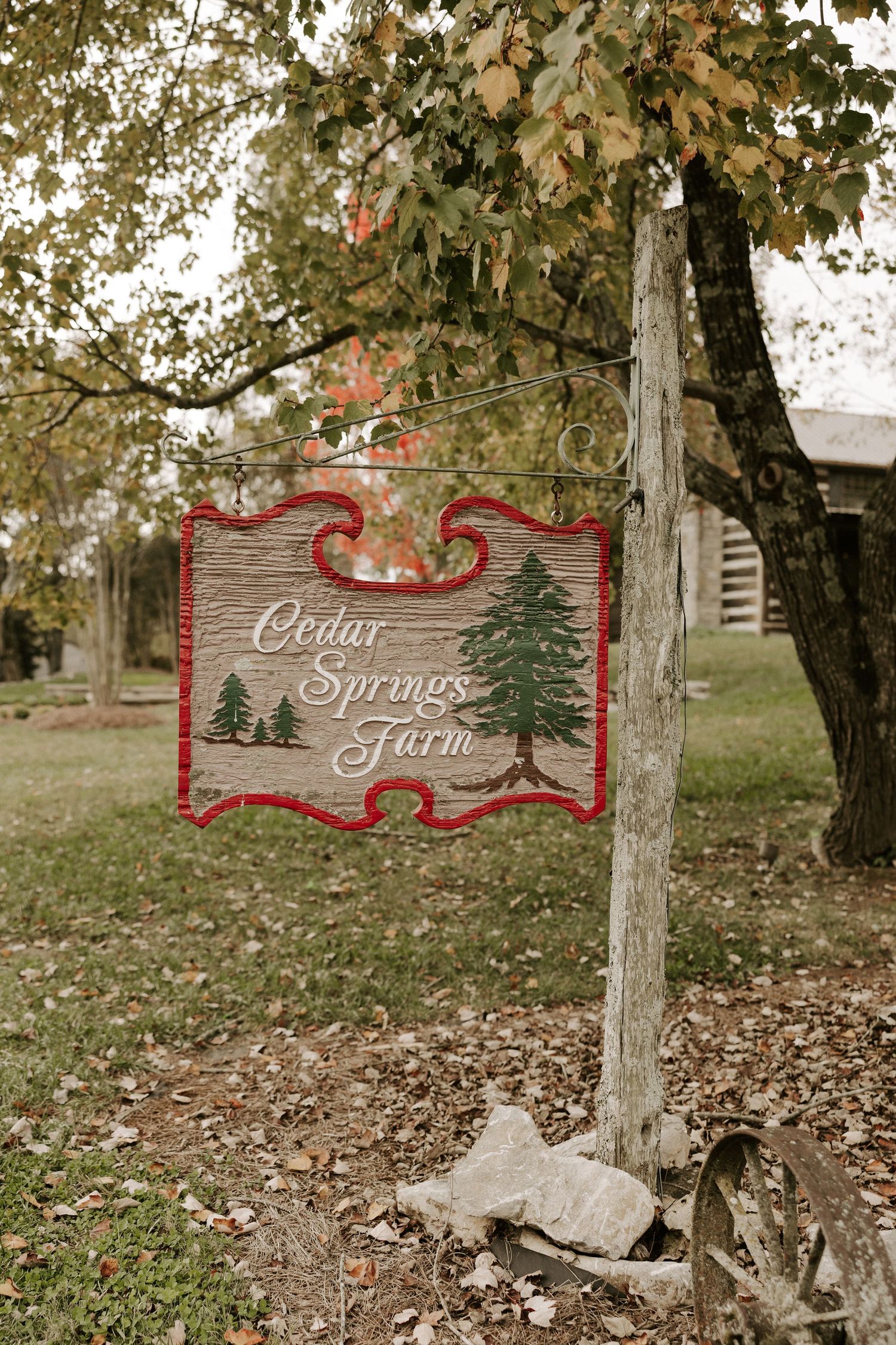 Vintage wooden signs reading 'Cedar Springs' mounted on posts among autumn foliage.