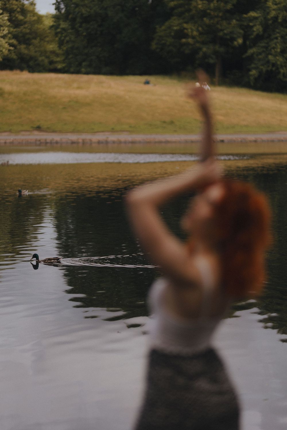 Silhouetted figure by a serene lake at sunset with ducks floating in the calm waters.