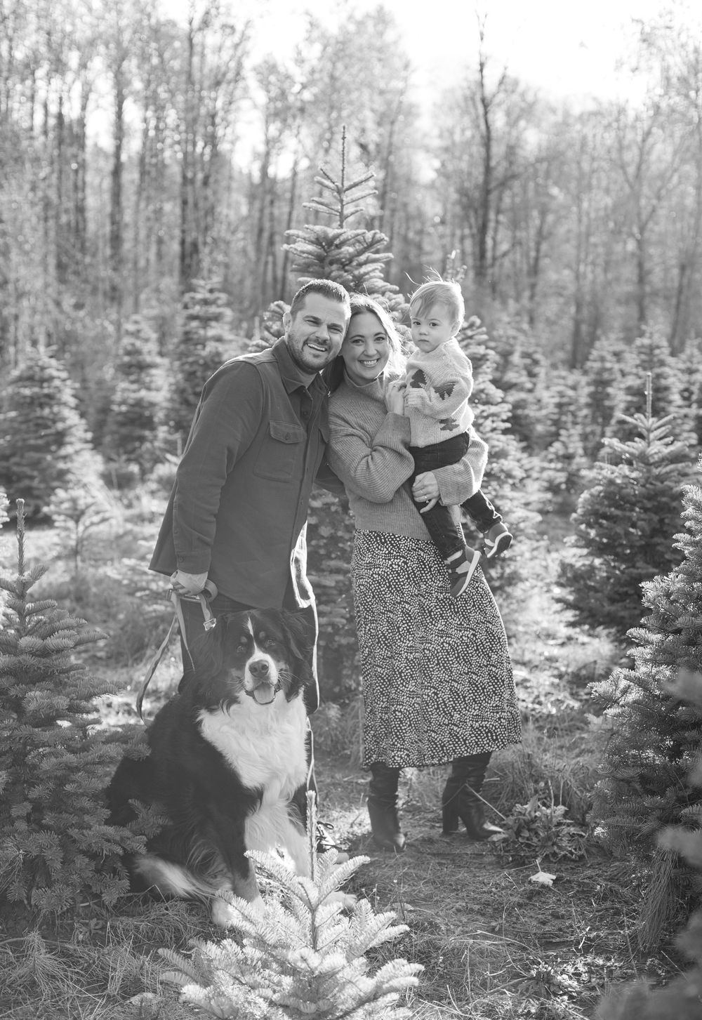 Black and white photo series of people with their dog posing among evergreen trees at a Christmas tree farm.