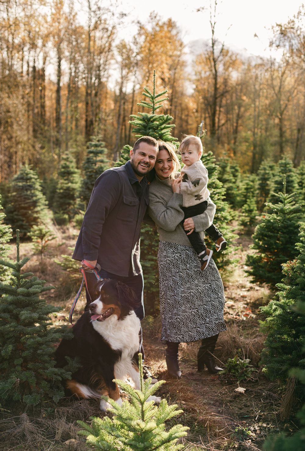 A family poses together at a Christmas tree farm on an autumn day with their brown and white dog among evergreen trees.