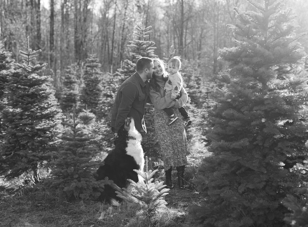 A couple shops for a Christmas tree at a snowy tree farm on a bright winter morning.