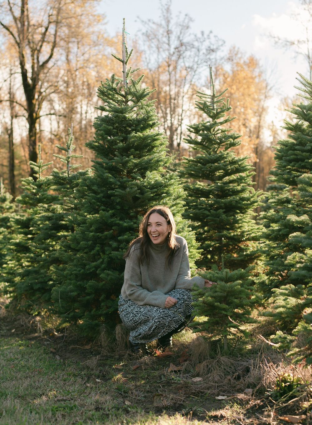 A sequence of four photos showing someone crouching and peeking through evergreen trees at a Christmas tree farm.