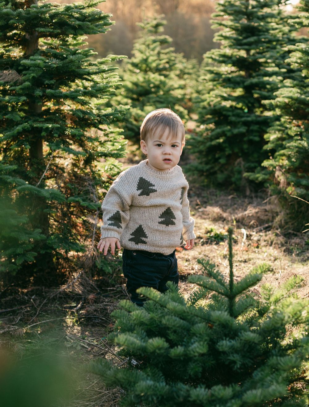 A small child wearing a knitted sweater with pine tree motifs explores among evergreen trees in a forest setting.
