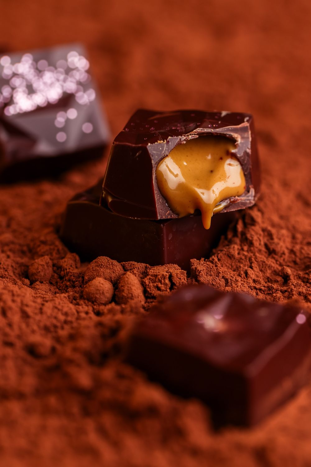 Détails du cacao mono-origine Del Oro en Équateur