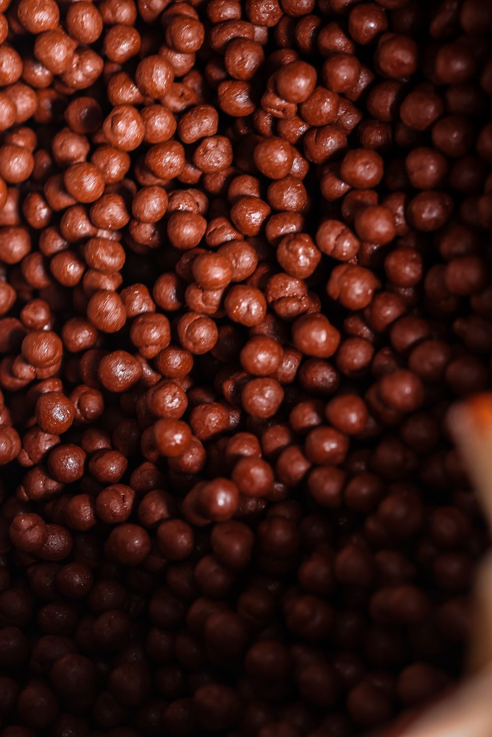 Noisettes enrobées au chocolat Ecuacao capturé en gros plan