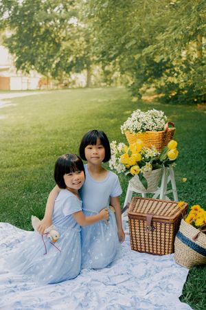 Picnic setup with blue blanket, yellow flowers and wicker baskets on sunny grass.