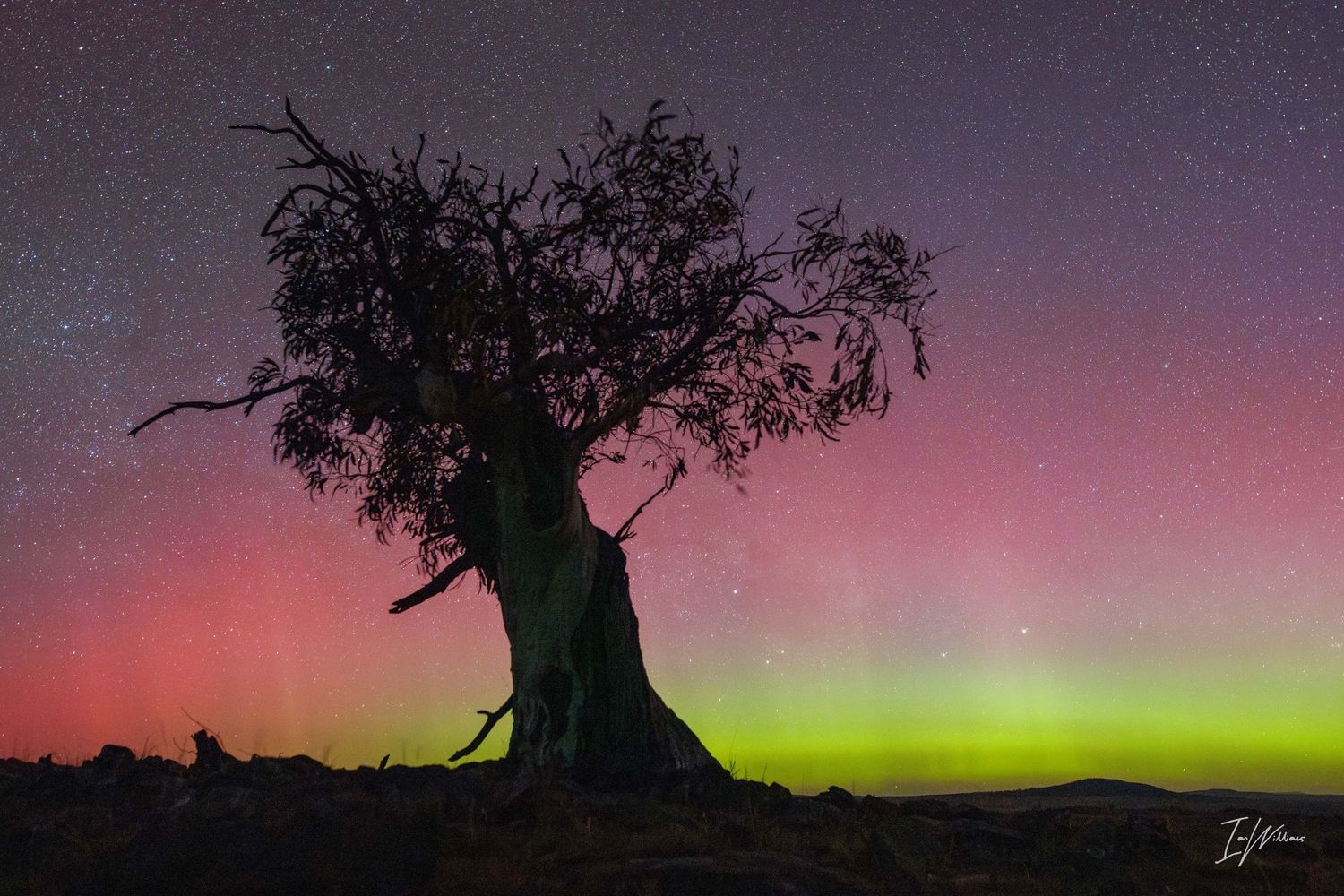 Aurora Australis, Monaro area