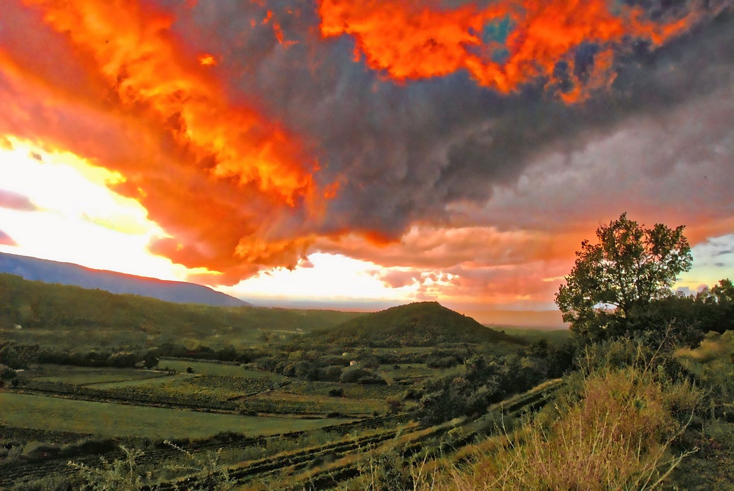 Southern France and Beyond