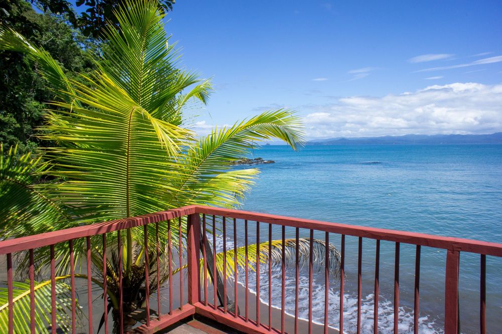 Tropical oceanfront balcony view with palm fronds and turquoise waters stretching to the horizon in Hawaii.