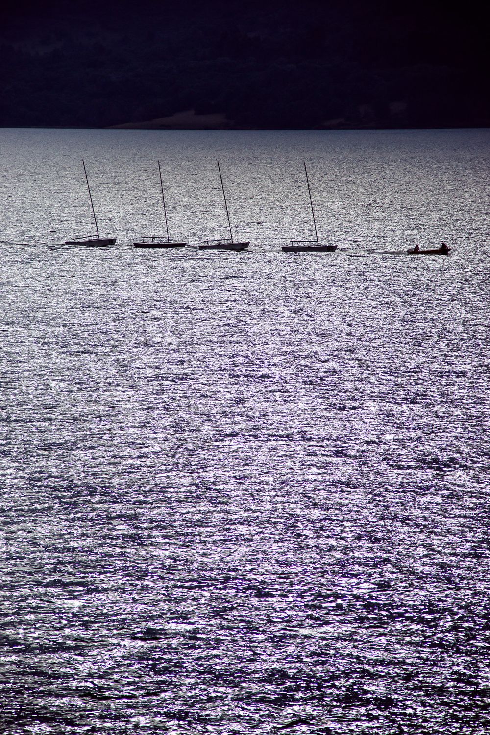 Five silhouetted sailboats float on a glistening silver ocean beneath a dark sky at dusk.