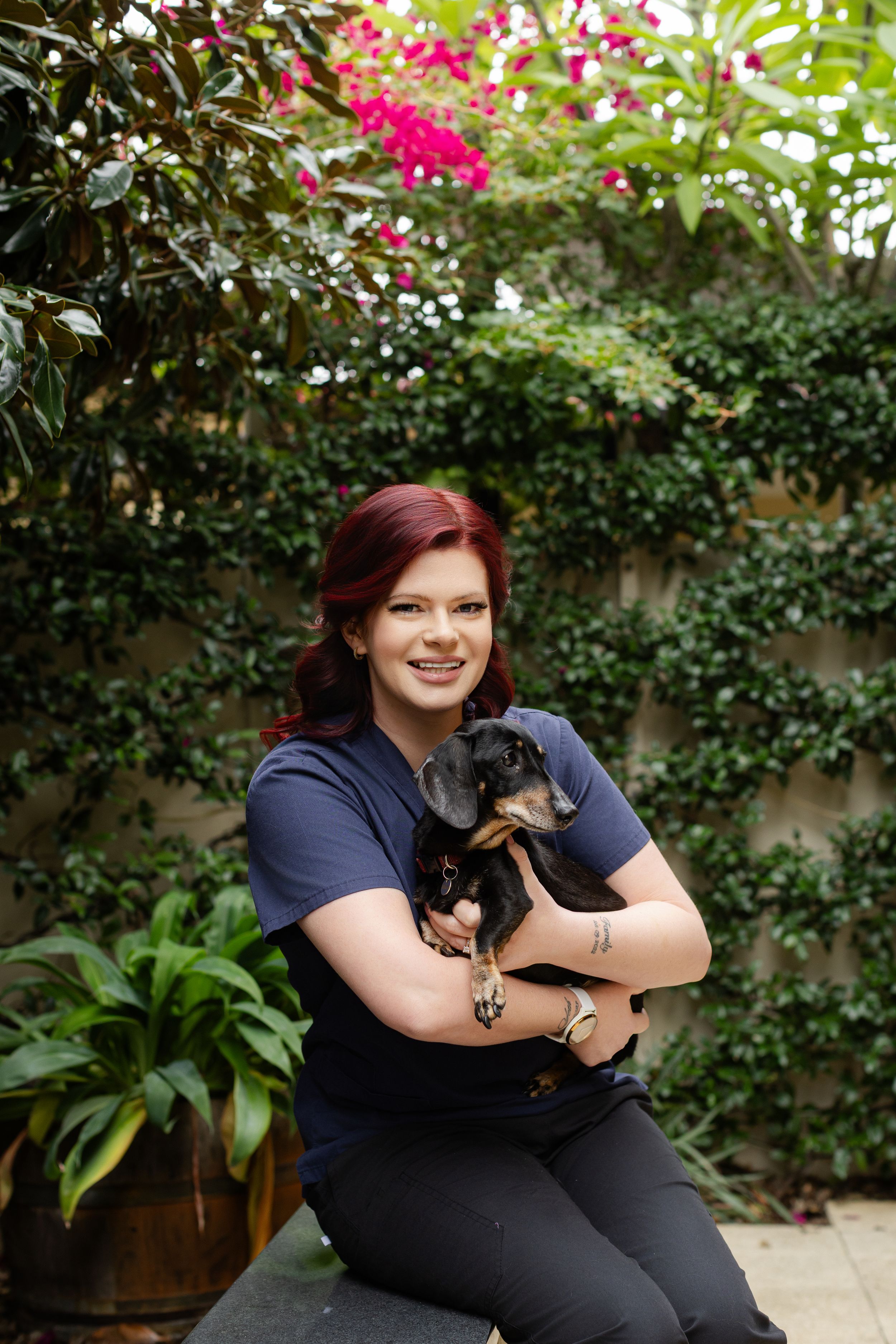 Heartwarming scene of a rescue cat being held and cuddled by someone in a navy shirt sitting outdoors by flowering bushes.