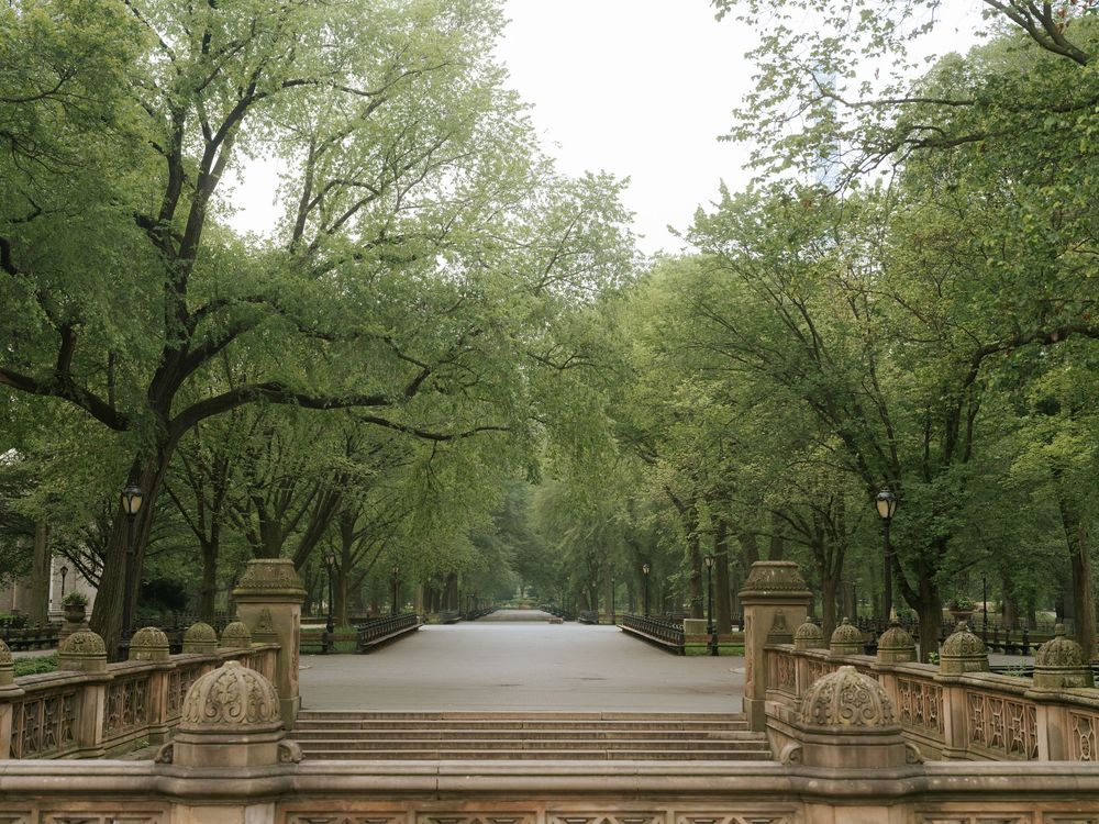 Tree-lined pathway with stone balustrades at Bethesda Terrace in Central Park.
