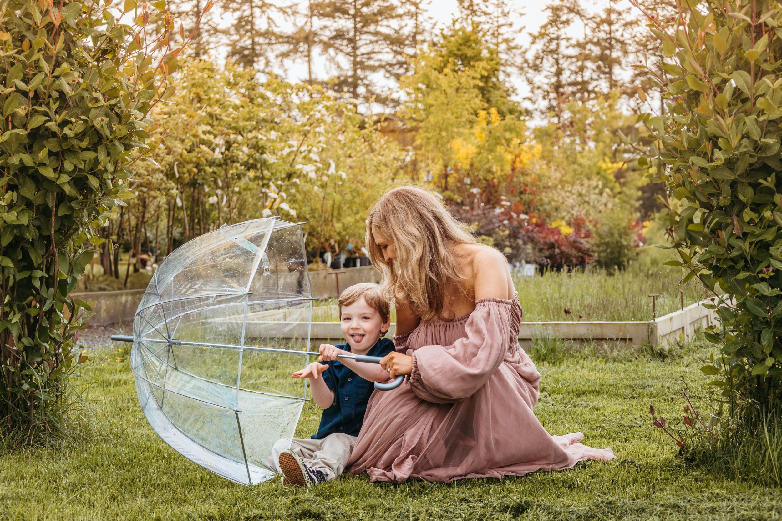 A clear bubble umbrella rests on autumn grass surrounded by fall foliage and trees in a park setting.