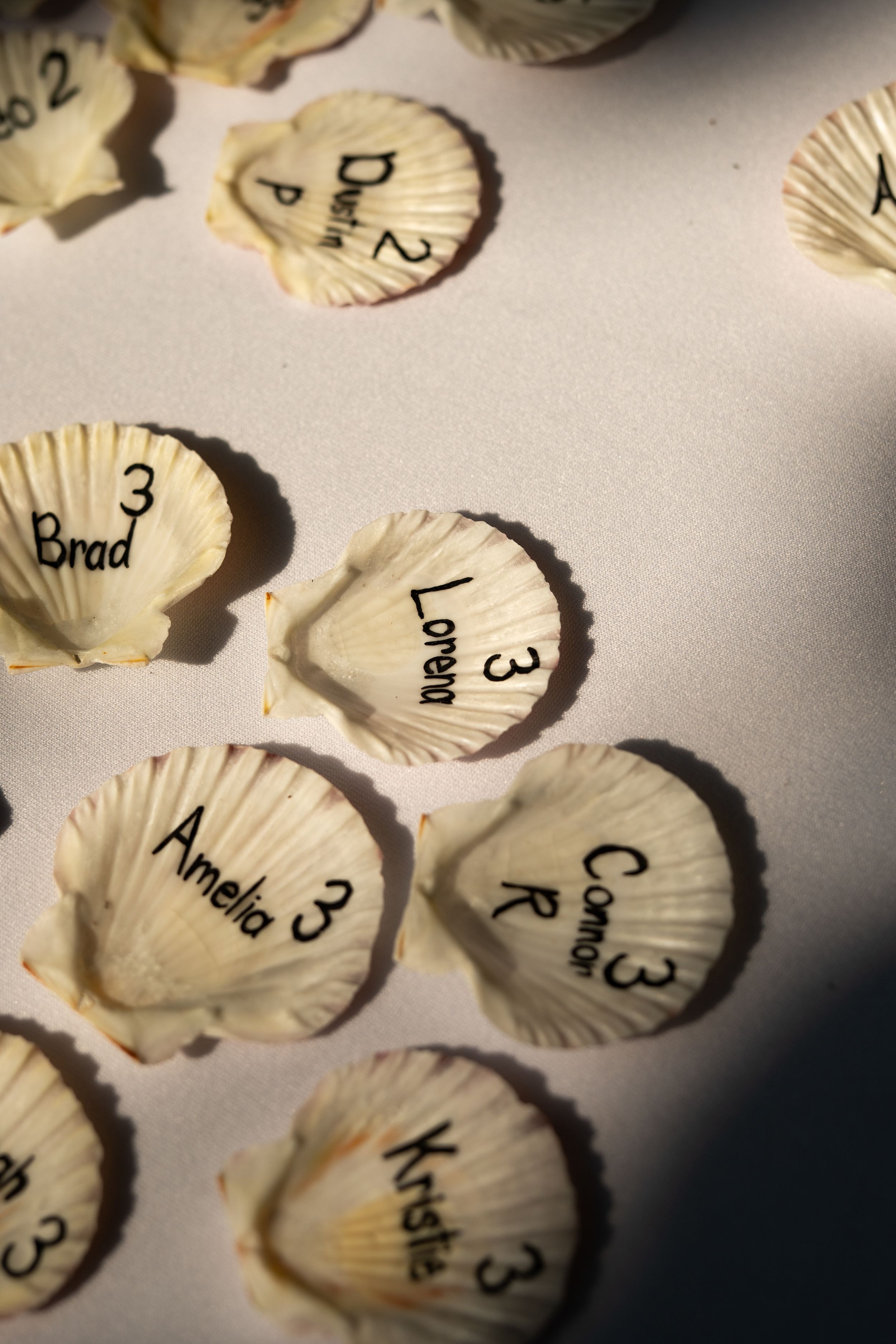 Seashell place cards with handwritten names arranged on white surface.