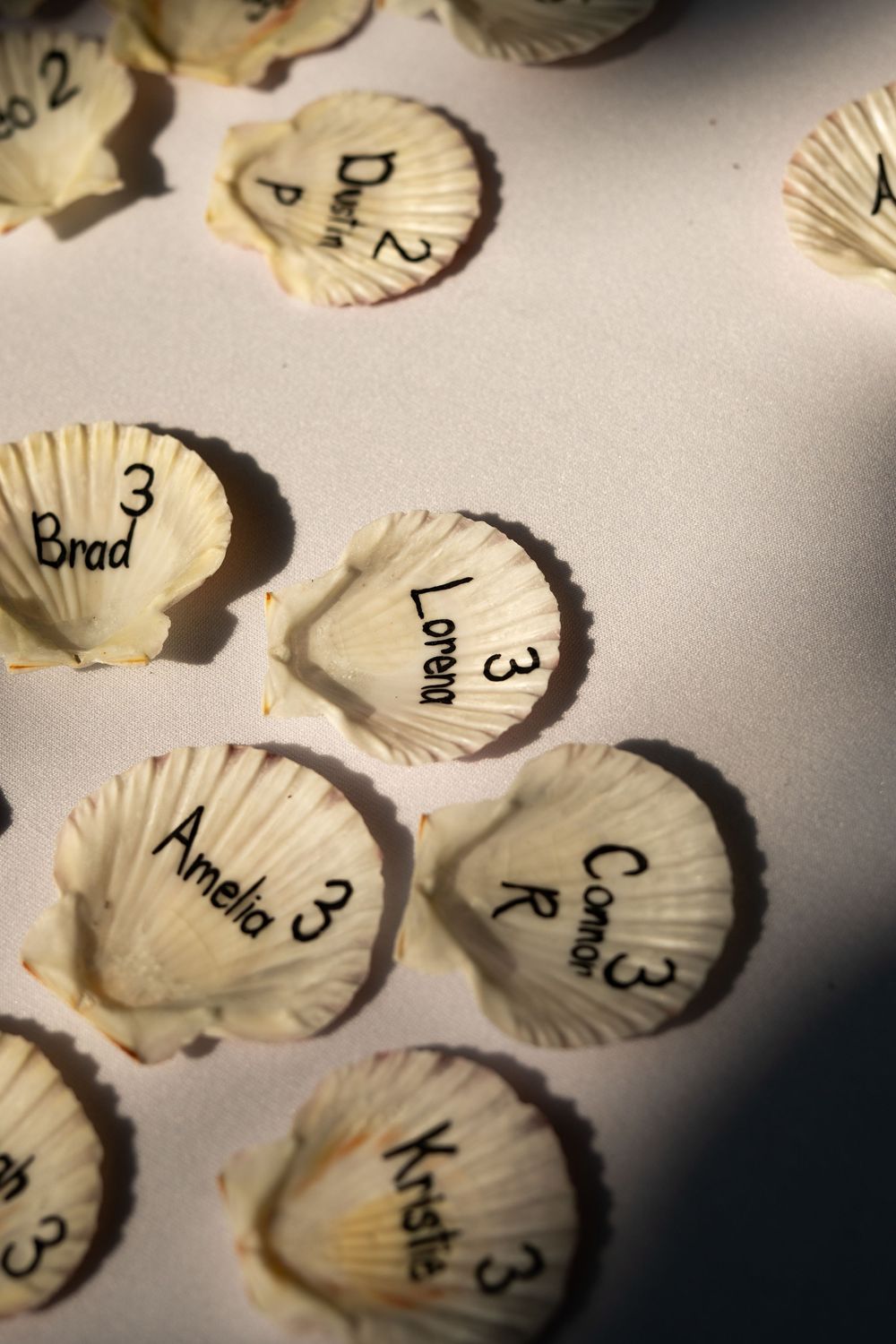 Seashell place cards with handwritten names arranged on white surface.