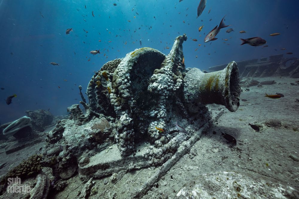 An underwater panoramic sequence showing coral reef formations and small tropical fish swimming along sandy bottom.