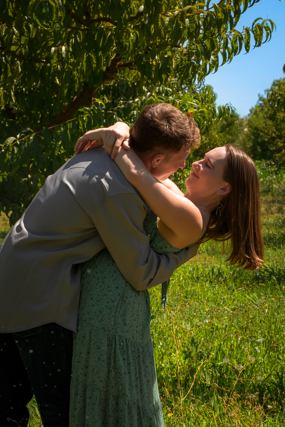 A couple shares a tender kiss surrounded by peach trees in bright sunlight.