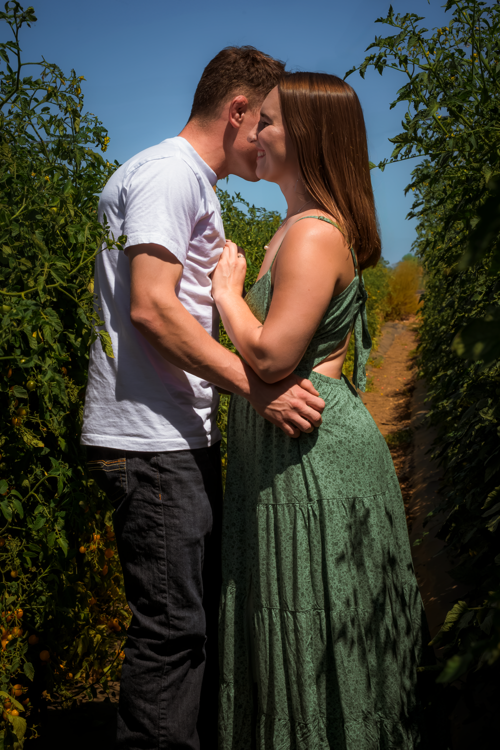 A couple shares an intimate moment between rows of green plants on a sunny day.