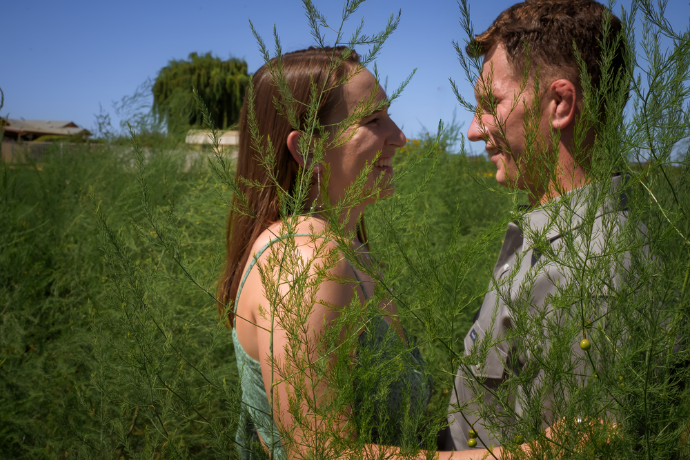 Two people embrace among leafy green vines in a garden setting.