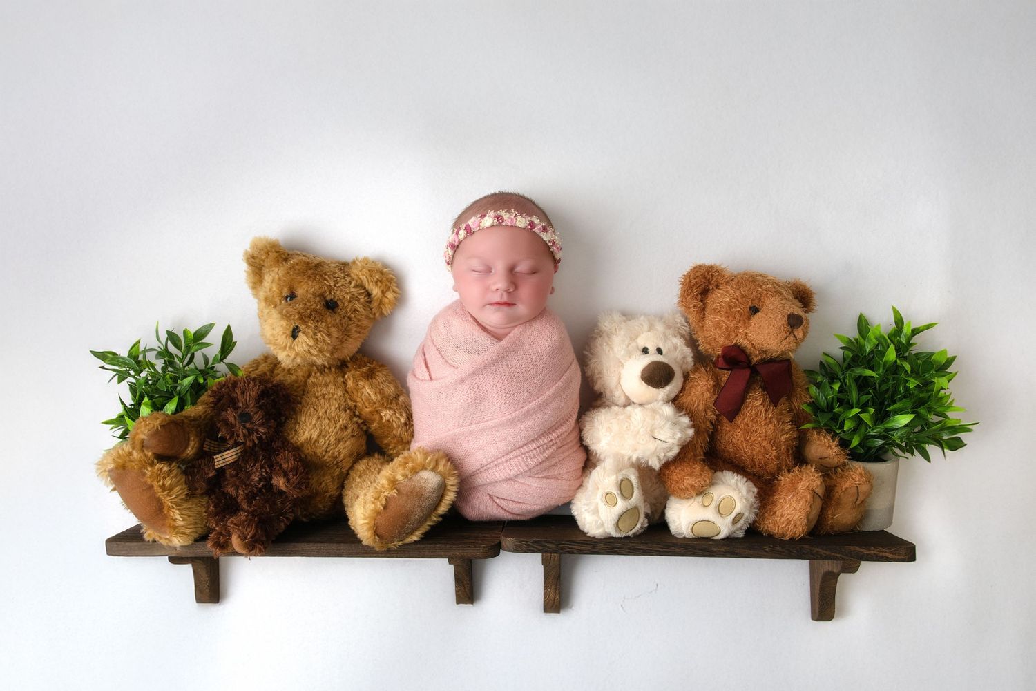 Multiple stuffed plush teddy bears and toys arranged in a line display on wooden wall pegs.