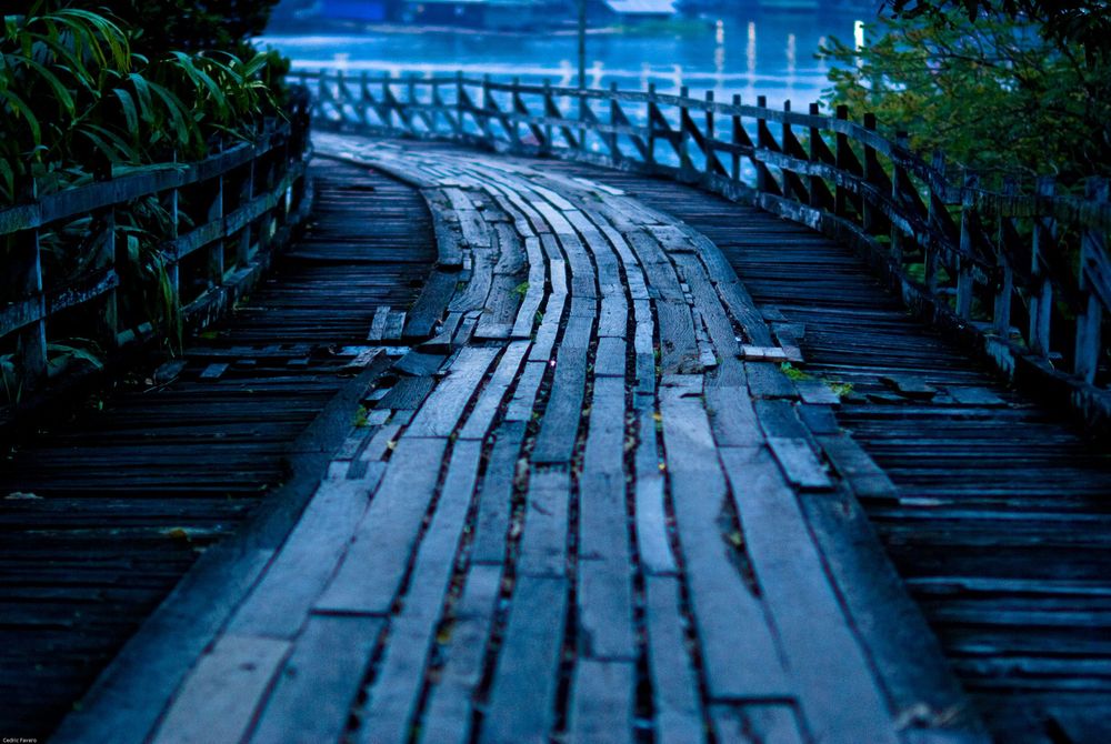 A curved wooden boardwalk path winds through a forest landscape on a misty morning.