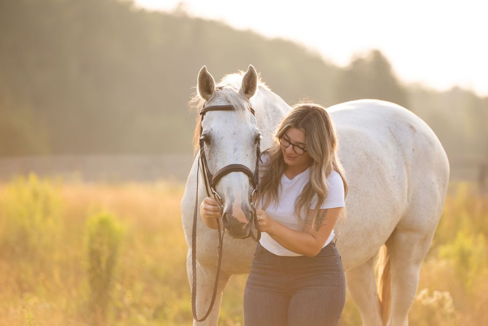 A white horse grazes in a sunlit meadow at golden hour as sunlight filters through trees in the background.