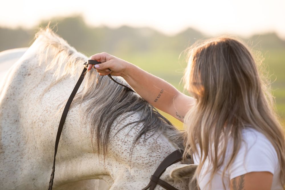 A person in a white shirt tenderly embraces a gray horse during a golden sunset in an outdoor setting.