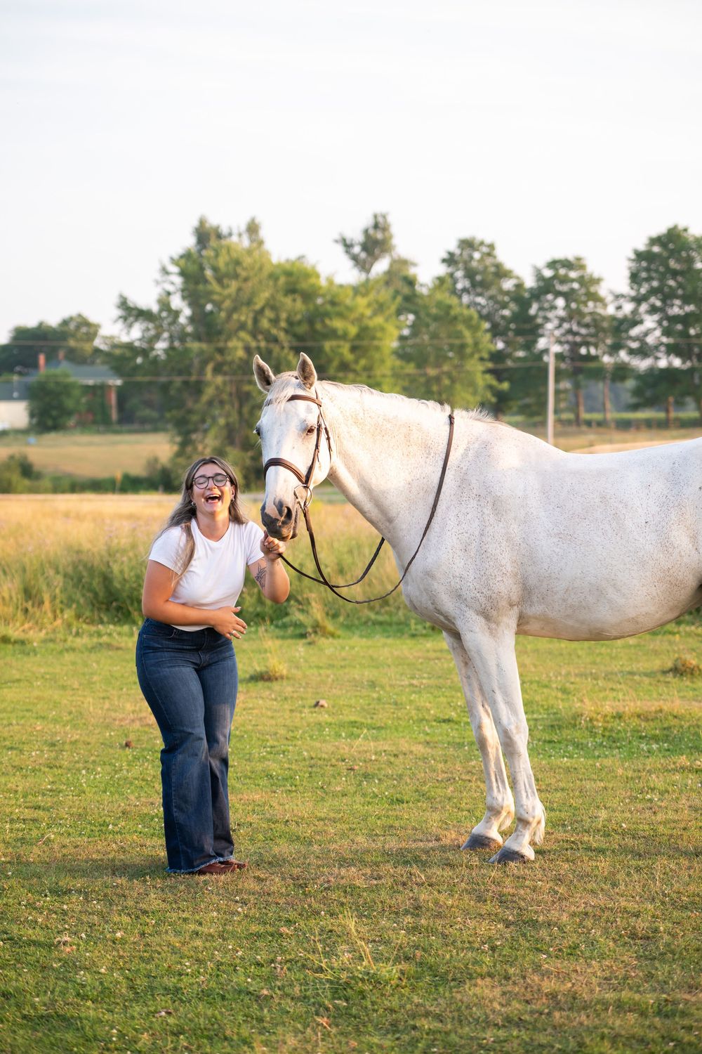 White horse standing in a grassy field on a sunny summer day.