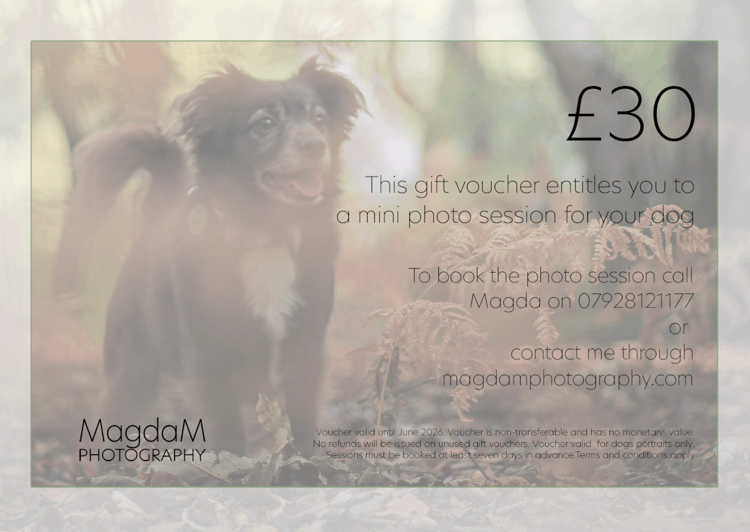 voucher example, gift voucher