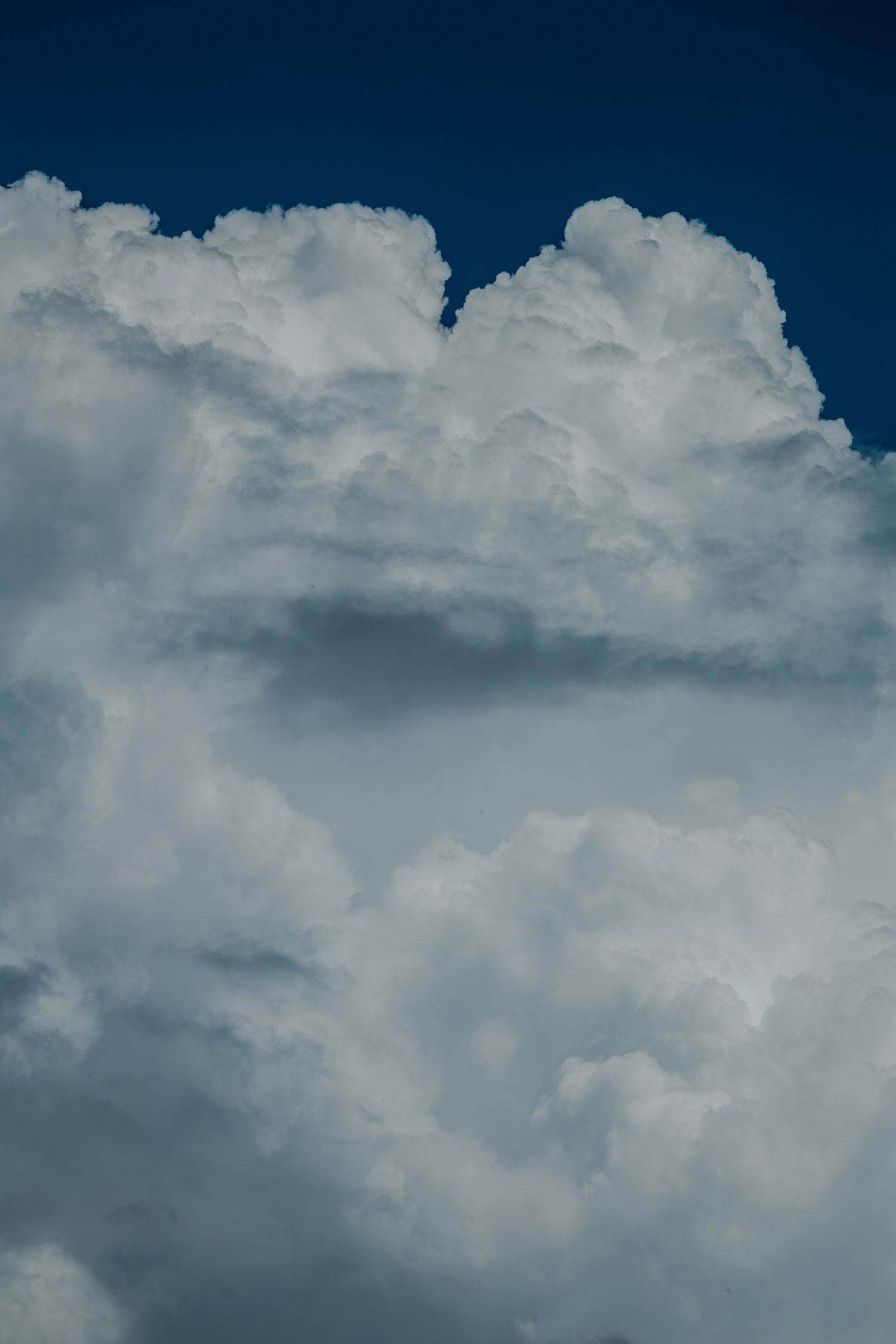 Dramatic white cumulus clouds billowing against a deep blue sky in a stunning cloudscape.