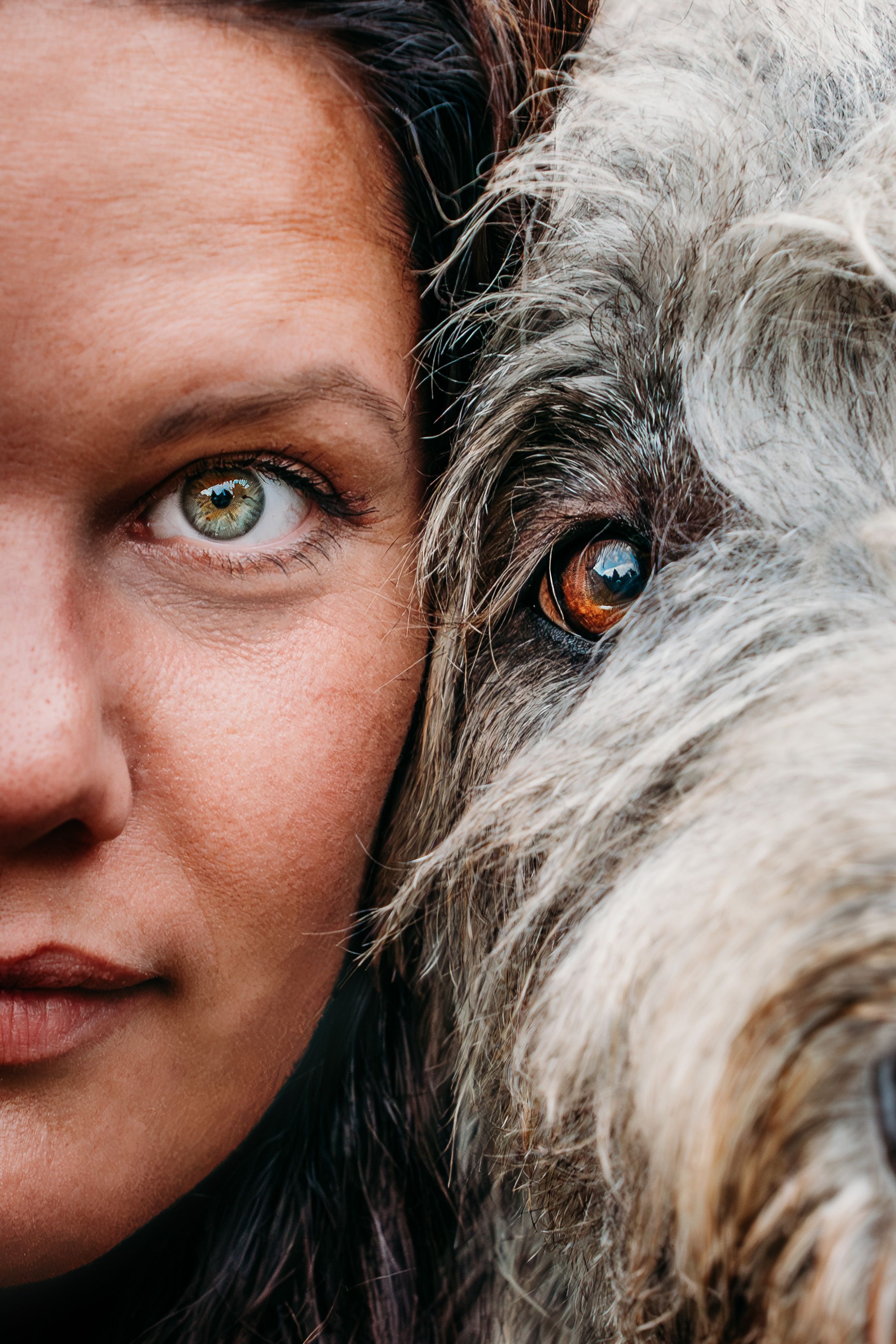 Close-up artistic portrait showing contrasting eyes of a person and their furry companion.