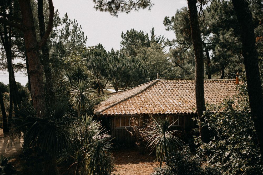 Terra cotta roofed cabin surrounded by pine trees and tropical plants in a forest setting.