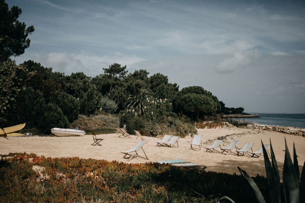 A sandy beach path with palm trees and coastal vegetation against a moody sky.