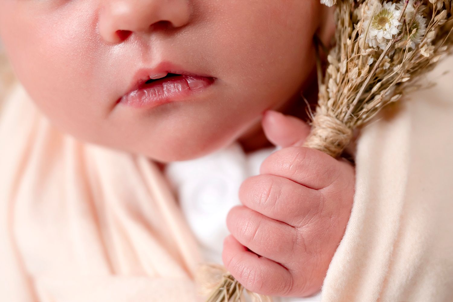 Close up of small hand grasping dried wheat stems against pink background.