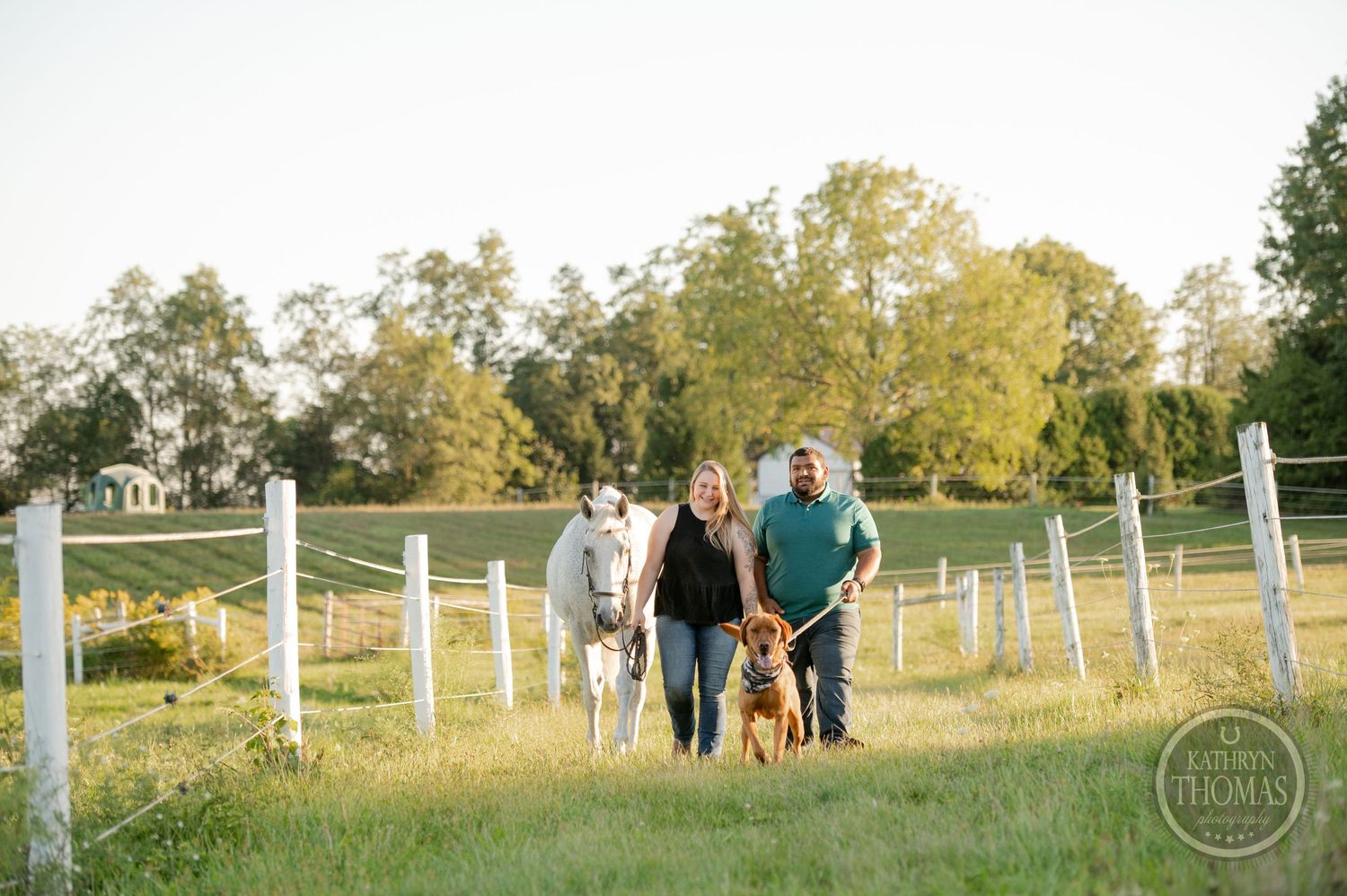 A group walks with their dog along a fenced path in an evening landscape.