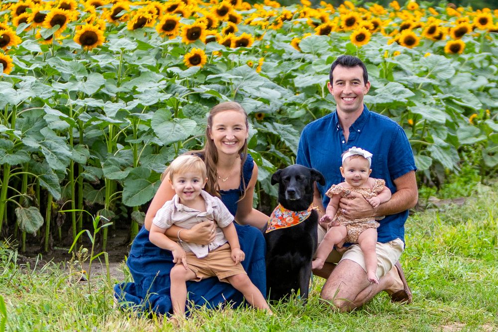 A family poses together during a family portrait photo session in a sunflower field at Verrill Farm in Concord, MA by Lisa West Photography.