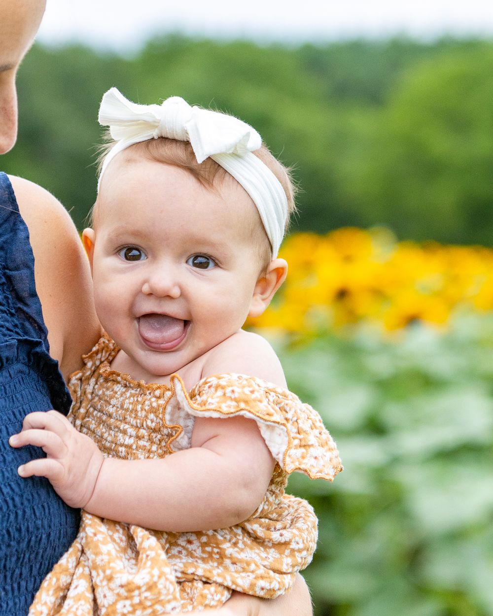A baby girl snuggles with her mom during a family photo session in a sunflower field- Verrill Farm in Concord, MA by Lisa West Photography.