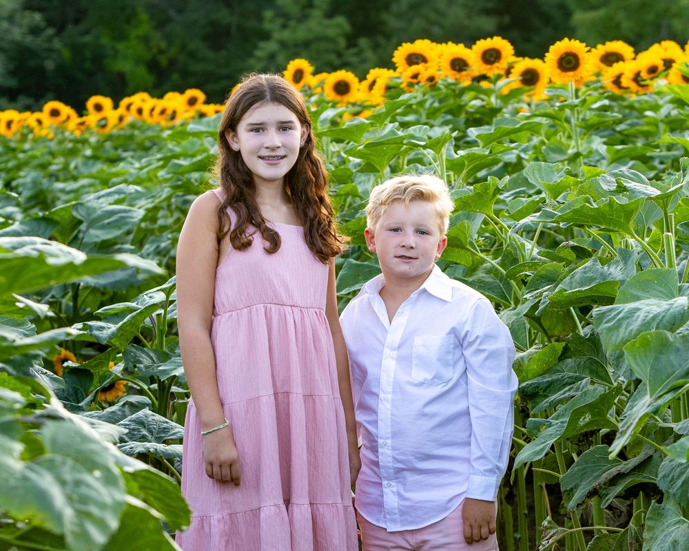 Siblings pose together during a family portrait session in a sunflower field at Verrill Farm in Concord, MA by Lisa West Photography.