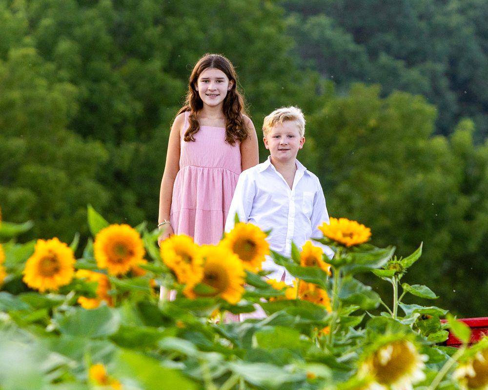 Siblings pose together during a family portrait session in a sunflower field at Verrill Farm in Concord, MA by Lisa West Photography.