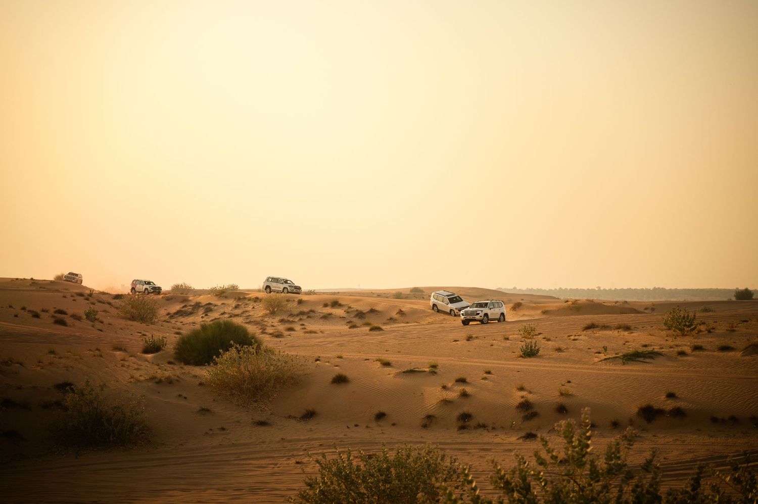 A panoramic view of sand dunes in a vast desert landscape stretches beneath a warm golden sky.