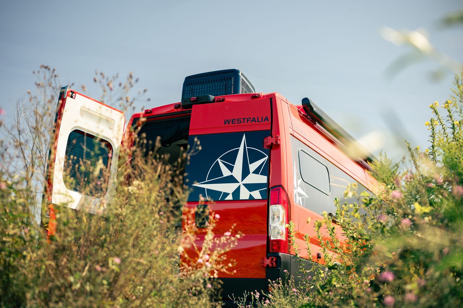 Red luxury limousine parked on a road surrounded by blooming wildflowers and vegetation.