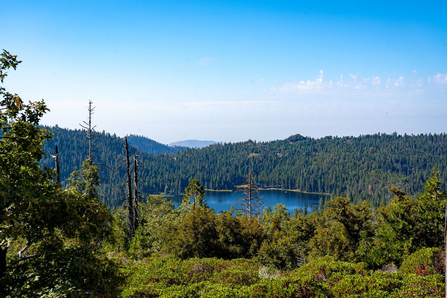 Scenic view of a forested mountain valley with a blue lake surrounded by trees.