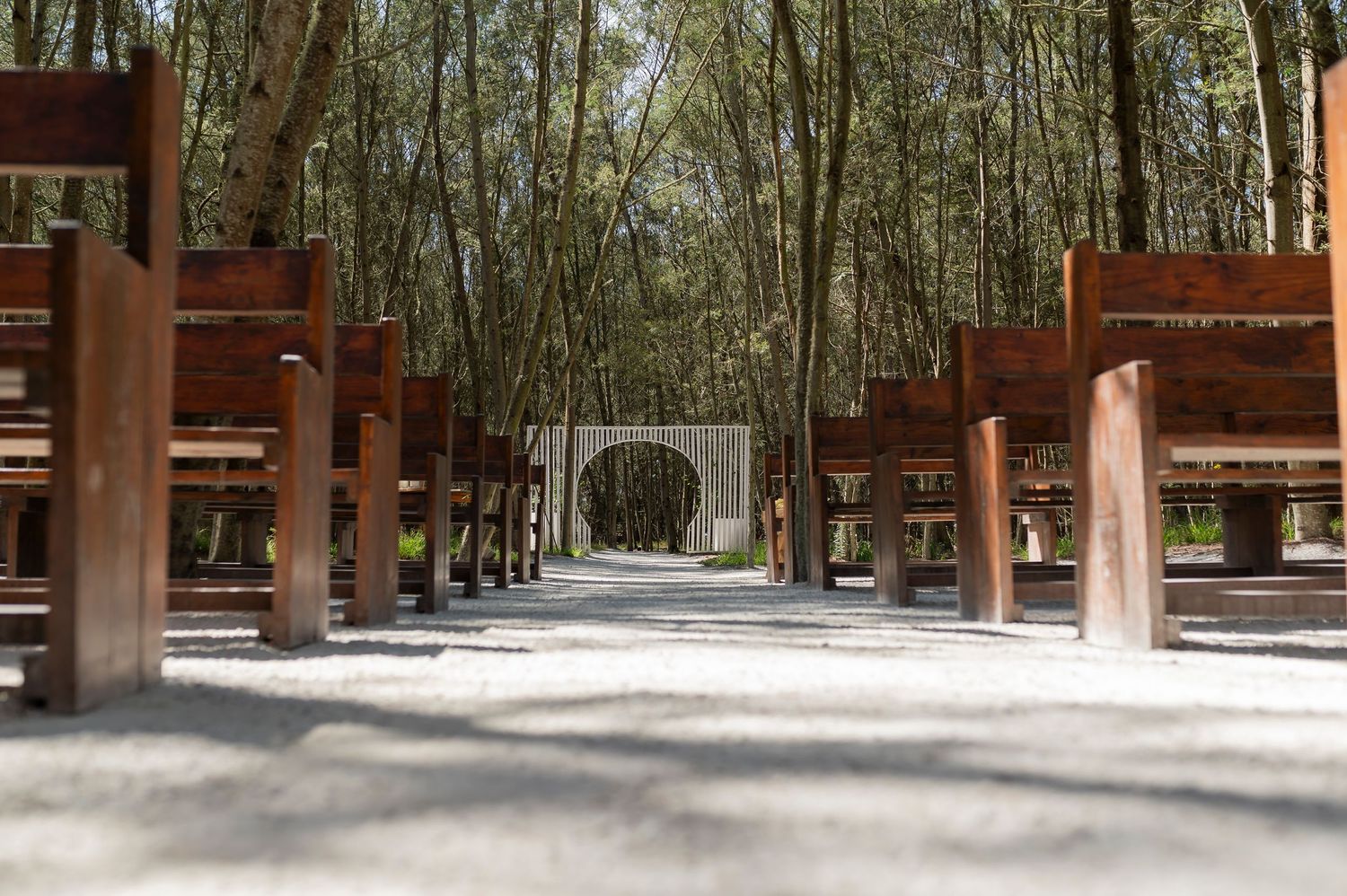 A tree-lined walkway with rustic wooden columns leads to a circular tunnel entrance in a serene forest setting.
