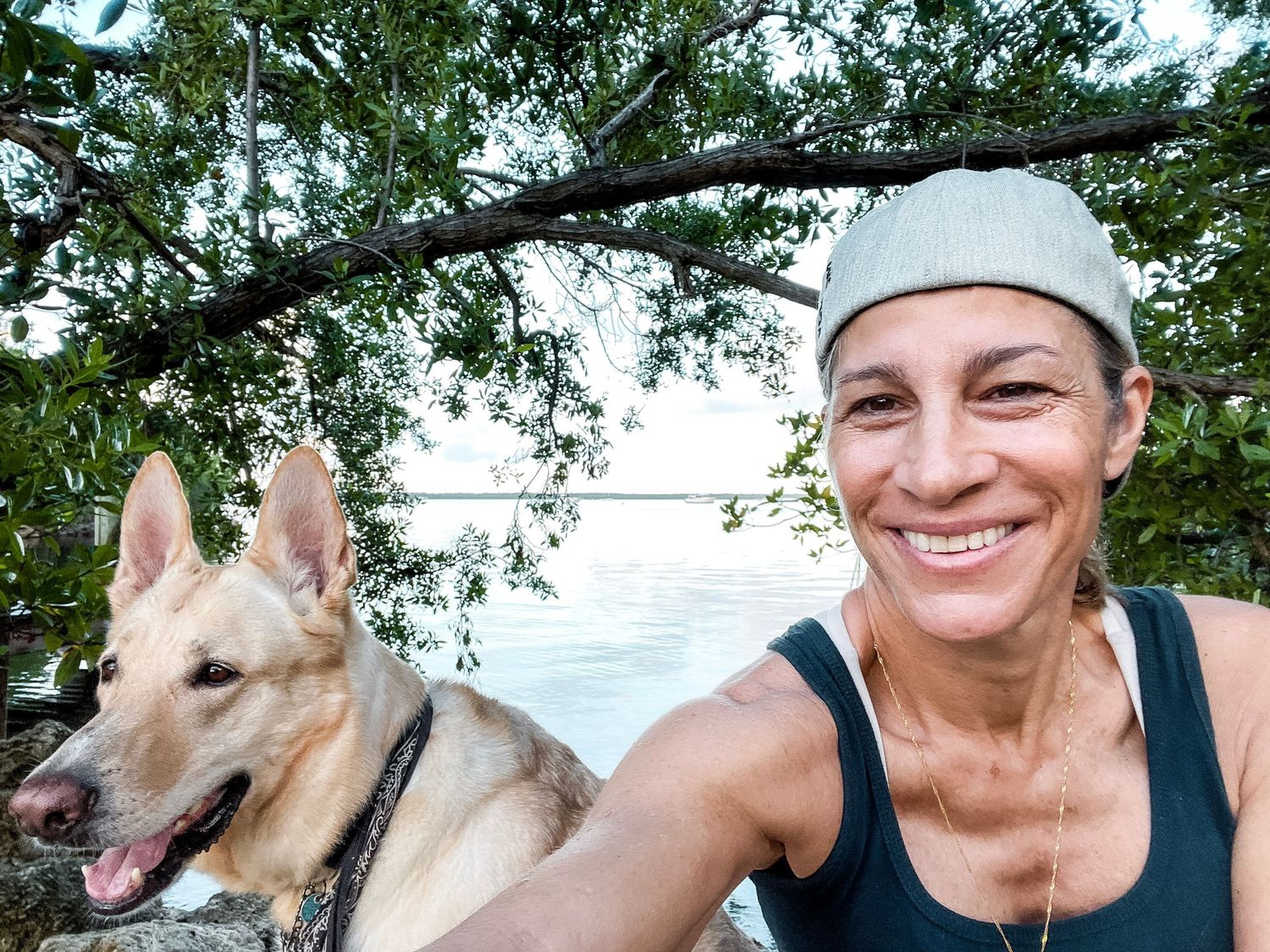 A series of outdoor photos showing a person exercising and having fun with a friendly dog in nature.