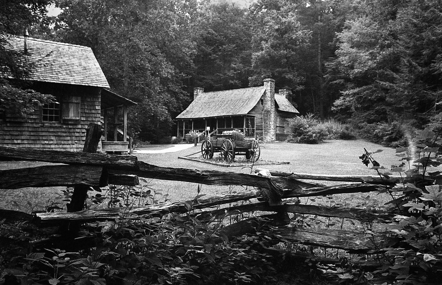 Homestead