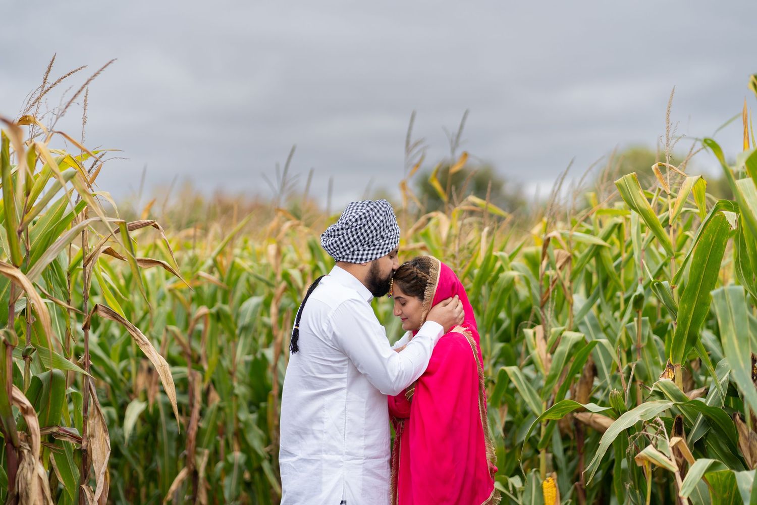 A romantic moment captured between two people in a cornfield on an overcast day.