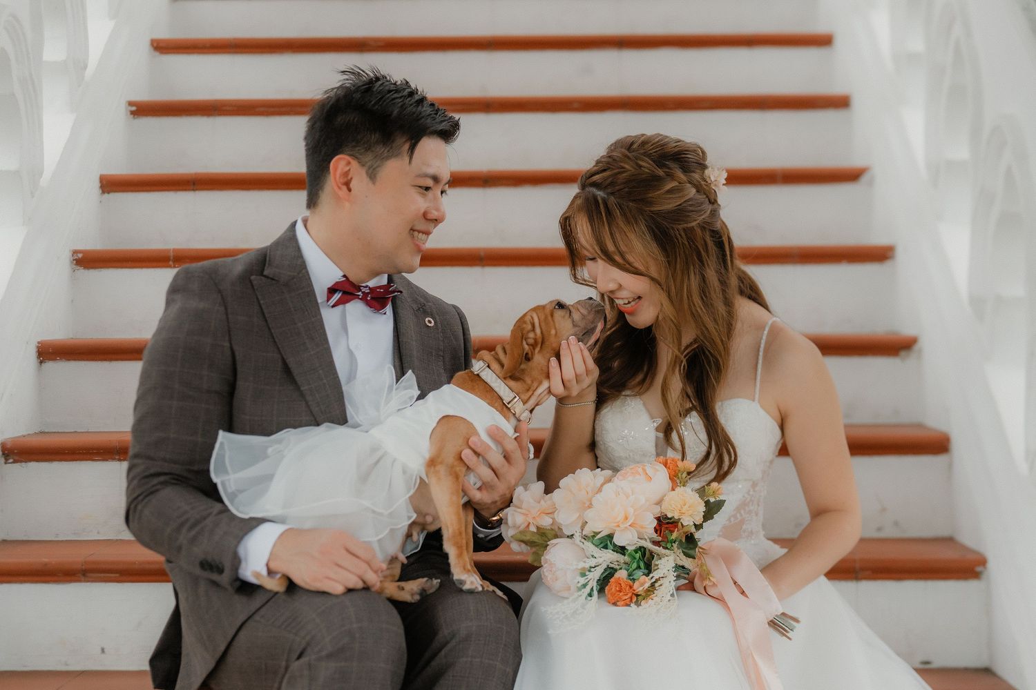 Happy couple in wedding attire sits on staircase with their small dog while holding floral bouquet.