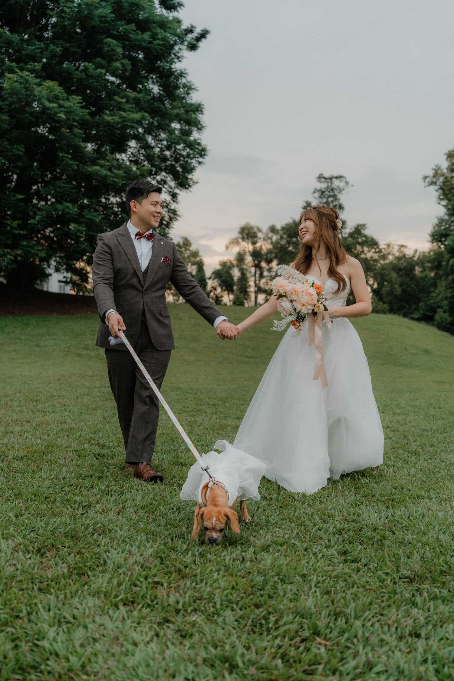 Newlyweds walk their corgi dog across a lush green lawn during their wedding photoshoot.