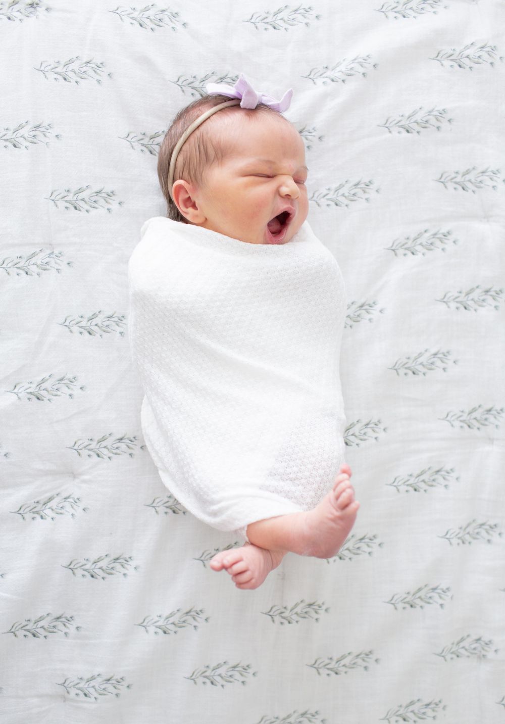 Charleston newborn photographer
